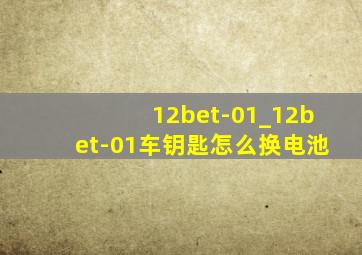 12bet-01_12bet-01车钥匙怎么换电池